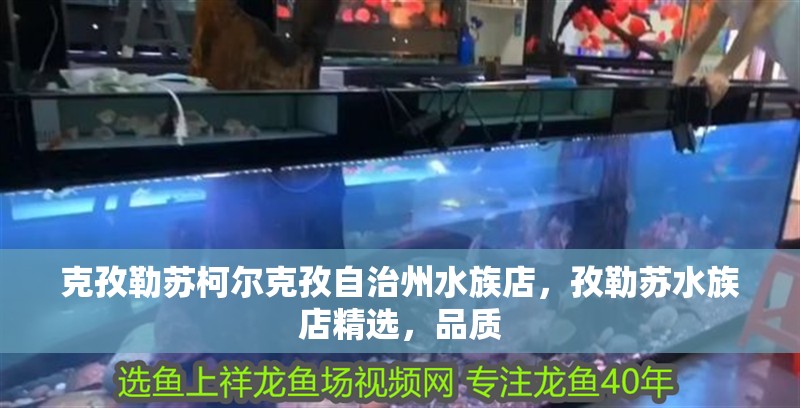 克孜勒蘇柯爾克孜自治州水族店，孜勒蘇水族店精選，品質