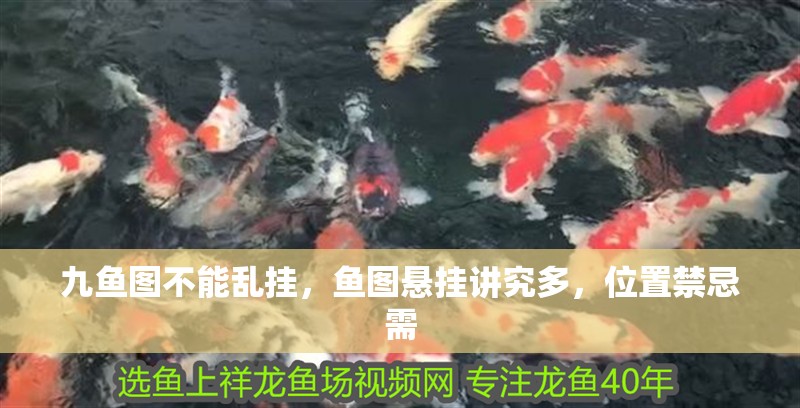 九魚圖不能亂掛，魚圖懸掛講究多，位置禁忌需