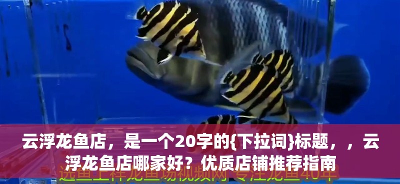云浮龍魚店，云浮龍魚店哪家好？優(yōu)質(zhì)店鋪推薦指南