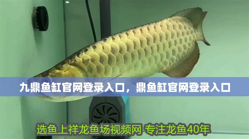 九鼎魚缸官網(wǎng)登錄入口，鼎魚缸官網(wǎng)登錄入口