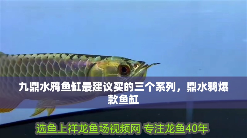 九鼎水鴉魚(yú)缸最建議買(mǎi)的三個(gè)系列，鼎水鴉爆款魚(yú)缸
