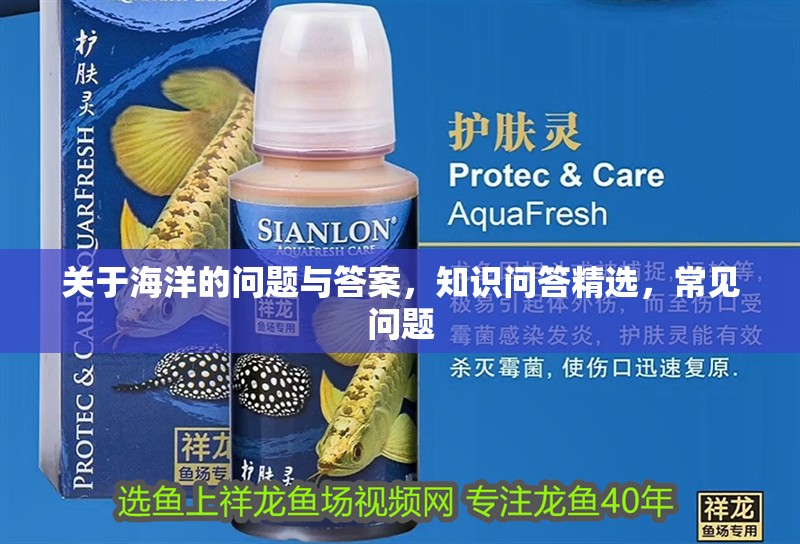 關于海洋的問題與答案，知識問答精選，常見問題