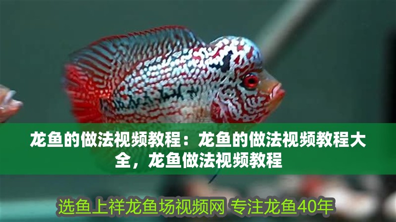 龍魚的做法視頻教程：龍魚的做法視頻教程大全，龍魚做法視頻教程
