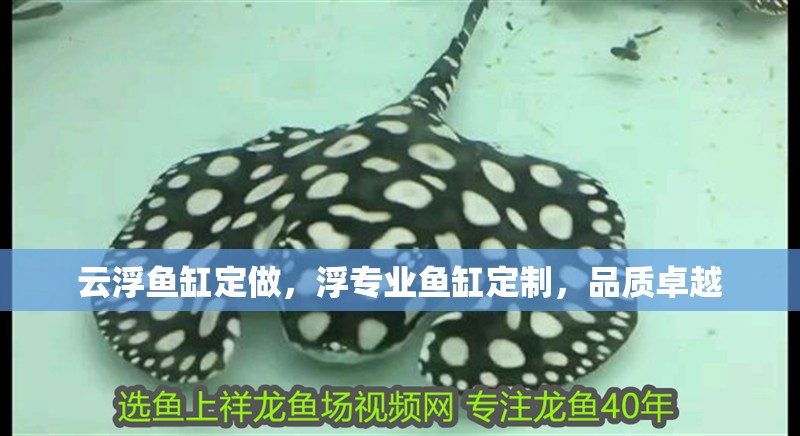 云浮魚缸定做，浮專業魚缸定制，品質卓越