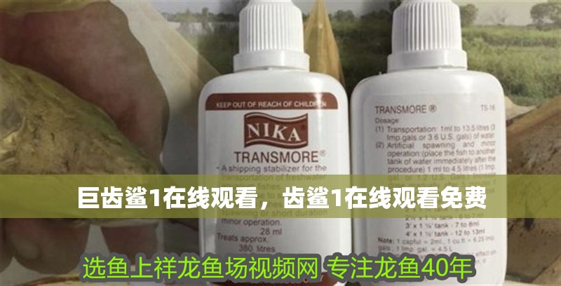 巨齒鯊1在線觀看，齒鯊1在線觀看免費