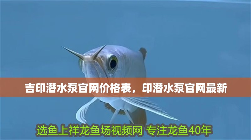 吉印潛水泵官網價格表，印潛水泵官網最新 吉印潛水泵官網價格表，印潛水泵官網最新 全國水族館企業名錄