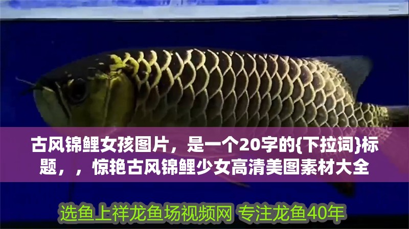 古風錦鯉女孩圖片，是一個20字的{下拉詞}標題，，驚艷古風錦鯉少女高清美圖素材大全
