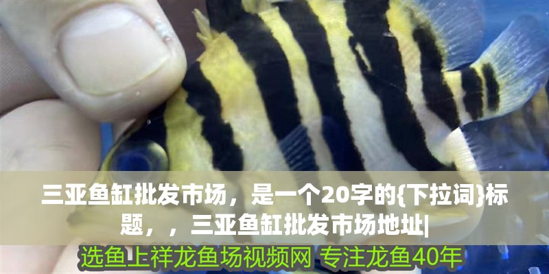 三亞魚缸批發市場，是一個20字的{下拉詞}標題，，三亞魚缸批發市場地址| 三亞魚缸批發市場，是一個20字的{下拉詞}標題，，三亞魚缸批發市場地址| 全國水族館企業名錄