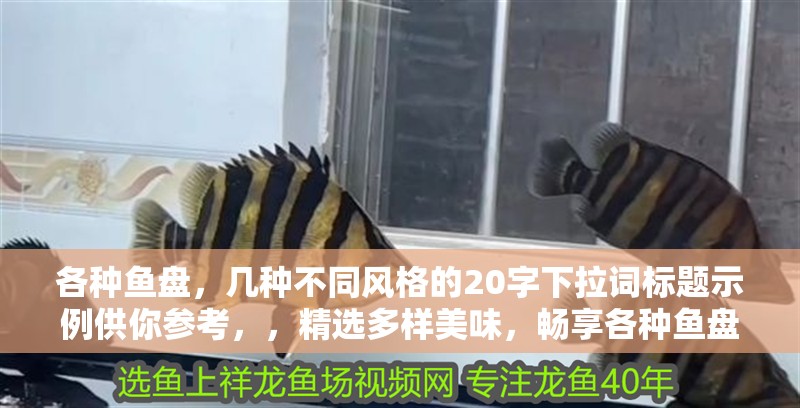 各種魚盤，幾種不同風格的20字下拉詞標題示例供你參考，，精選多樣美味，暢享各種魚盤佳肴，匯聚豐富品類，品味獨特各種魚盤，探尋鮮香之選，解鎖多元各種魚