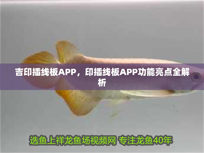 吉印插線板APP，印插線板APP功能亮點全解析
