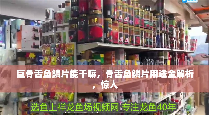 巨骨舌魚鱗片能干嘛，骨舌魚鱗片用途全解析，驚人