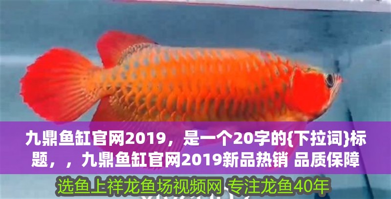 九鼎魚缸官網2019，是一個20字的{下拉詞}標題，，九鼎魚缸官網2019新品熱銷 品質保障