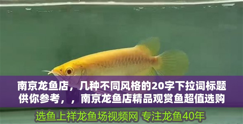 南京龍魚店，幾種不同風格的20字下拉詞標題供你參考，，南京龍魚店精品觀賞魚超值選購指南，探秘南京龍魚店特色品種與養護妙招，南京龍魚店高品質活體龍魚現貨熱賣，走進南京龍魚店領略奇幻水下世界之美，南京龍魚店專業