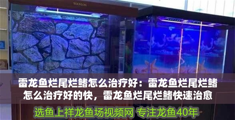 雷龍魚爛尾爛鰭怎么治療好：雷龍魚爛尾爛鰭怎么治療好的快，雷龍魚爛尾爛鰭快速治愈 雷龍魚爛尾爛鰭怎么治療好：雷龍魚爛尾爛鰭怎么治療好的快，雷龍魚爛尾爛鰭快速治愈 水族問答