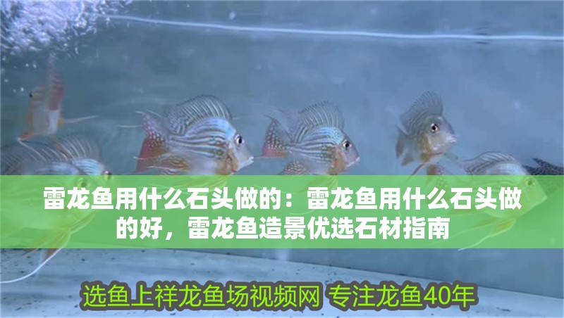 雷龍魚用什么石頭做的：雷龍魚用什么石頭做的好，雷龍魚造景優選石材指南