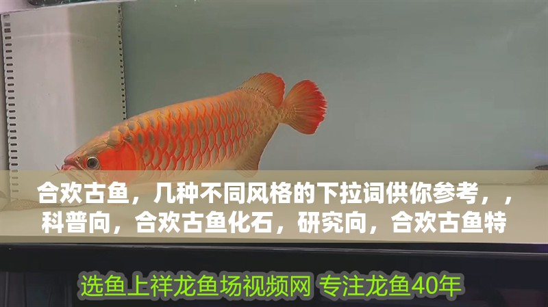 合歡古魚，幾種不同風格的下拉詞供你參考，，科普向，合歡古魚化石，研究向，合歡古魚特征，生態向，合歡古魚棲息地