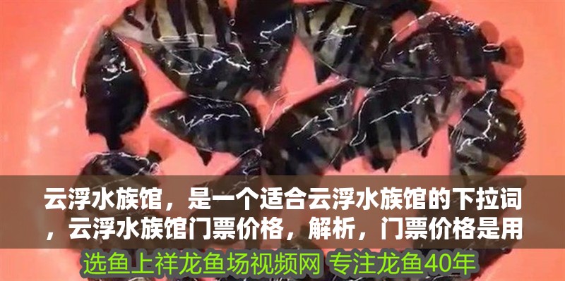 云浮水族館，是一個適合云浮水族館的下拉詞，云浮水族館門票價格，解析，門票價格是用戶搜索水族館時最常關(guān)注的衍生需求之一，作為下拉詞能有效匹配潛在用戶的查詢意圖（如購票決策、預(yù)算規(guī)劃等），同時與主詞云浮水族館形成