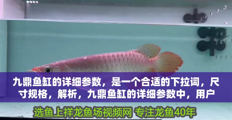 九鼎魚缸的詳細參數，是一個合適的下拉詞，尺寸規格，解析，九鼎魚缸的詳細參數中，用戶最常關注的核心信息之一就是其具體的尺寸規格（如長寬高、容積等），該詞能精準匹配需求場景