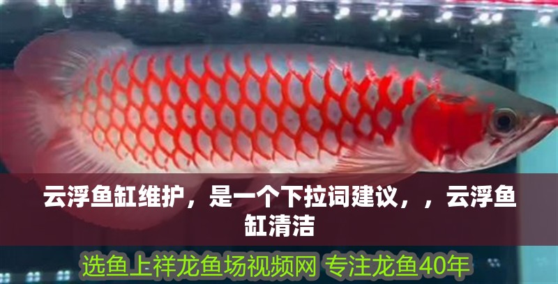 云浮魚缸維護，是一個下拉詞建議，，云浮魚缸清潔 云浮魚缸維護，是一個下拉詞建議，，云浮魚缸清潔 全國水族館企業名錄