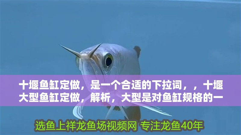 十堰魚缸定做，是一個合適的下拉詞，，十堰大型魚缸定做，解析，大型是對魚缸規(guī)格的一種常見細(xì)化需求，很多客戶在定制魚缸時會考慮尺寸大小，添加該詞能更精準(zhǔn)地匹配有特定需求的用戶搜索意圖，與原標(biāo)題核心