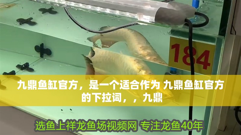 九鼎魚缸官方，是一個適合作為 九鼎魚缸官方 的下拉詞，，九鼎