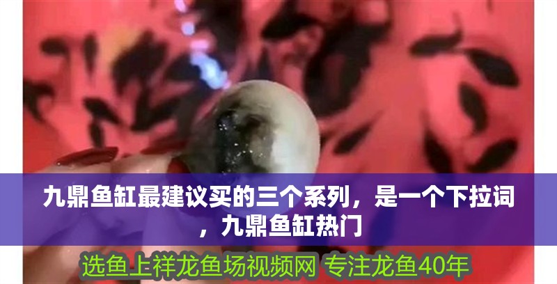 九鼎魚缸最建議買的三個系列，是一個下拉詞，九鼎魚缸熱門