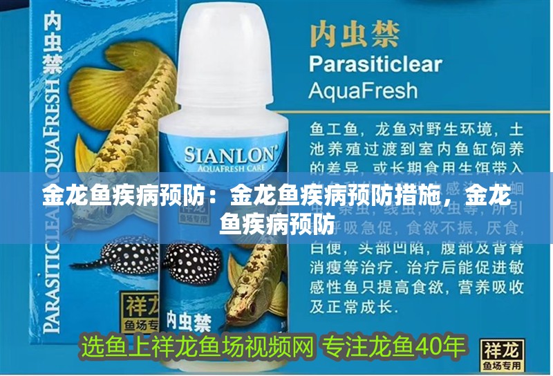 金龍魚疾病預防:金龍魚疾病預防措施,金龍魚疾病預防 水族問答 金龍魚疾病預防:金龍魚疾病預防措施,金龍魚疾病預防 金龍魚疾病預防:金龍魚疾病預防措施,金龍魚疾病預防 水族問答