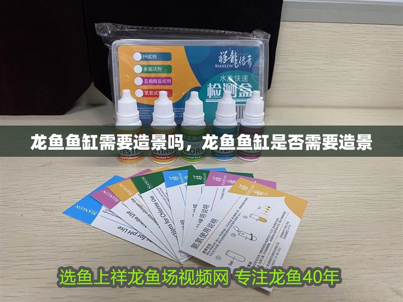 龍魚魚缸需要造景嗎，龍魚魚缸是否需要造景 龍魚魚缸需要造景嗎，龍魚魚缸是否需要造景 魚缸百科 第1張