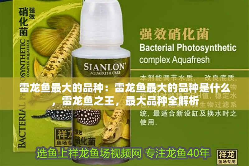 雷龍魚最大的品種：雷龍魚最大的品種是什么，雷龍魚之王，最大品種全解析 雷龍魚最大的品種：雷龍魚最大的品種是什么，雷龍魚之王，最大品種全解析 水族問答