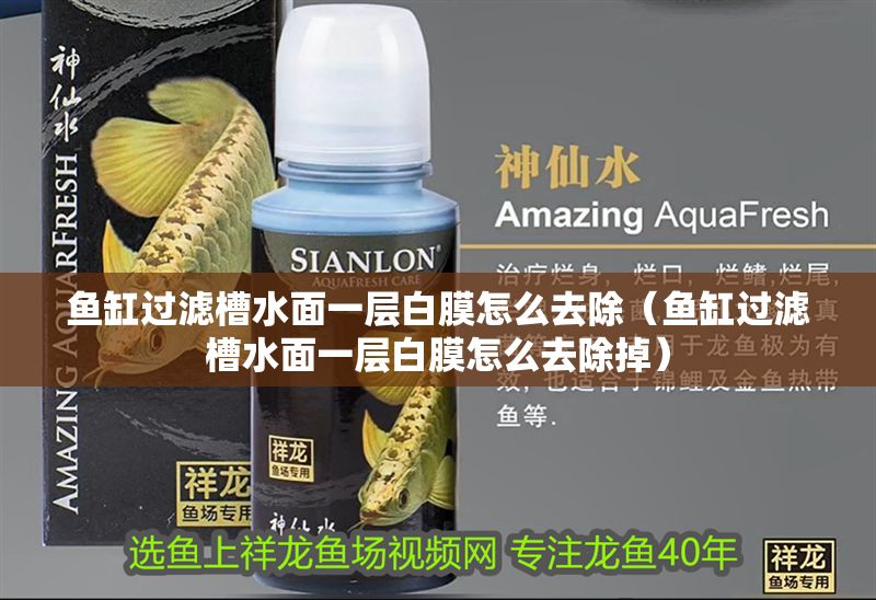 魚缸過濾槽水面一層白膜怎么去除（魚缸過濾槽水面一層白膜怎么去除掉）