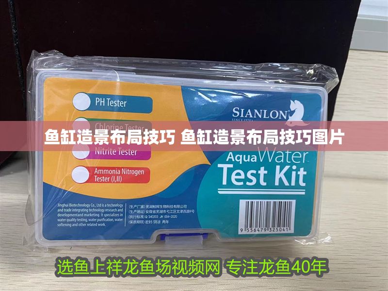 魚缸造景布局技巧 魚缸造景布局技巧圖片