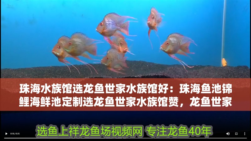 珠海水族館選龍魚世家水族館好：珠海魚池錦鯉海鮮池定制選龍魚世家水族館贊，龍魚世家水族館，專業定制魚池錦鯉與