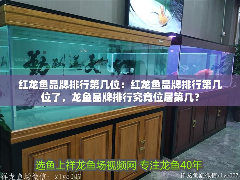 紅龍魚品牌排行第幾位：紅龍魚品牌排行第幾位了，龍魚品牌排行究竟位居第幾？ 紅龍魚品牌排行第幾位：紅龍魚品牌排行第幾位了，龍魚品牌排行究竟位居第幾？ 水族問答