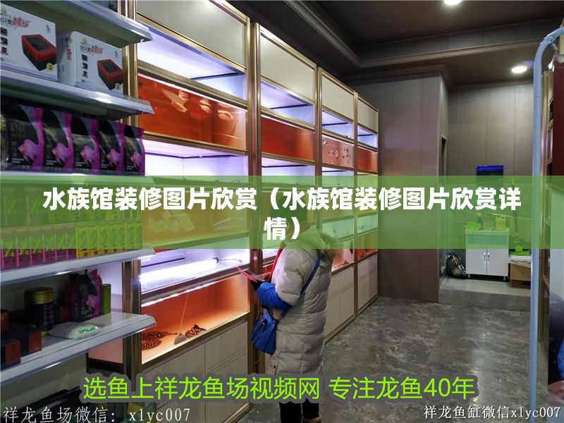 水族館裝修圖片欣賞（水族館裝修圖片欣賞詳情）