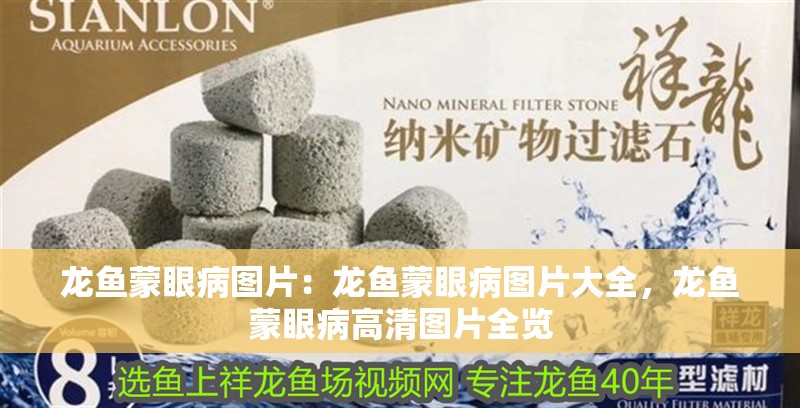 龍魚蒙眼病圖片：龍魚蒙眼病圖片大全，龍魚蒙眼病高清圖片全覽 龍魚蒙眼病圖片：龍魚蒙眼病圖片大全，龍魚蒙眼病高清圖片全覽 水族問答