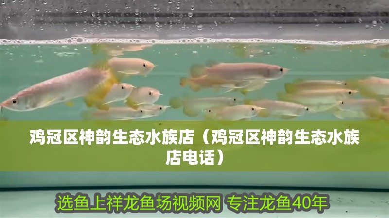 雞冠區神韻生態水族店（雞冠區神韻生態水族店電話）