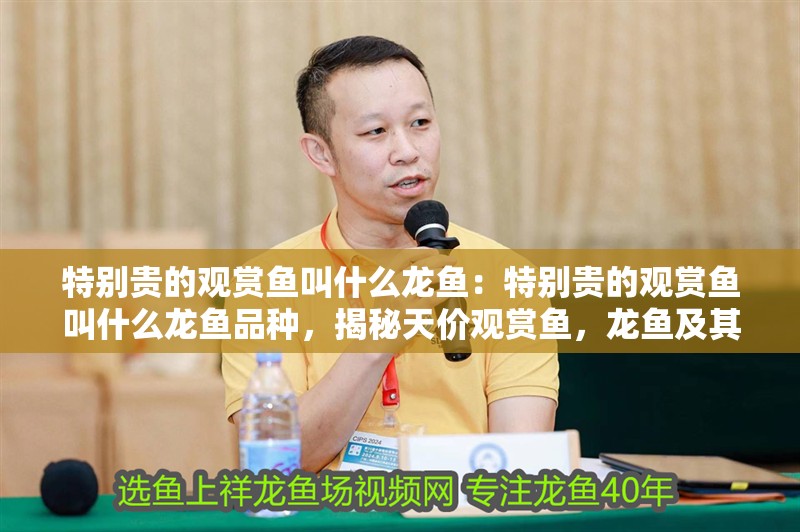 特別貴的觀賞魚叫什么龍魚：特別貴的觀賞魚叫什么龍魚品種，揭秘天價觀賞魚，龍魚及其珍稀品種探秘 特別貴的觀賞魚叫什么龍魚：特別貴的觀賞魚叫什么龍魚品種，揭秘天價觀賞魚，龍魚及其珍稀品種探秘 水族問答
