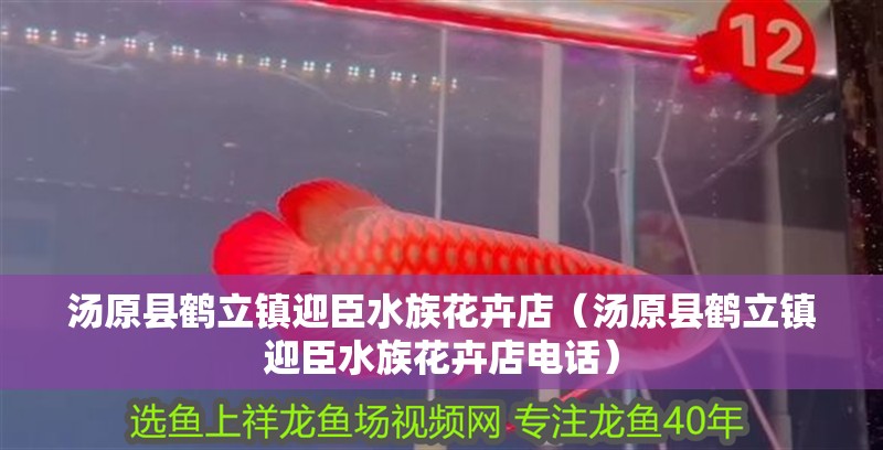 湯原縣鶴立鎮迎臣水族花卉店（湯原縣鶴立鎮迎臣水族花卉店電話）