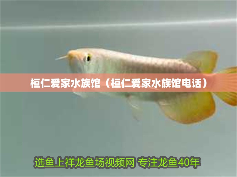 桓仁愛家水族館（桓仁愛家水族館電話） 桓仁愛家水族館（桓仁愛家水族館電話） 全國水族館企業名錄 第2張