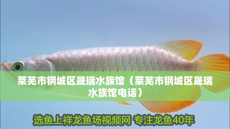 萊蕪市鋼城區晟瑞水族館（萊蕪市鋼城區晟瑞水族館電話） 萊蕪市鋼城區晟瑞水族館（萊蕪市鋼城區晟瑞水族館電話） 全國水族館企業名錄 第2張