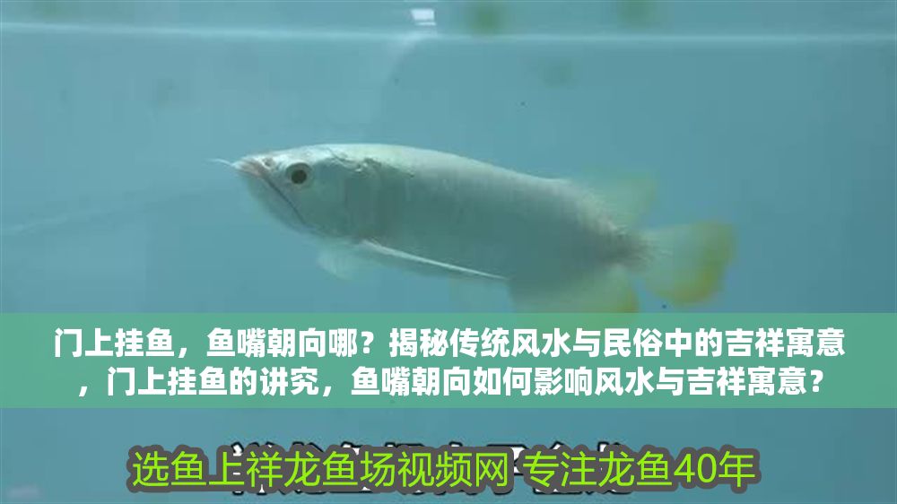 門上掛魚，魚嘴朝向哪？揭秘傳統風水與民俗中的吉祥寓意，門上掛魚的講究，魚嘴朝向如何影響風水與吉祥寓意？