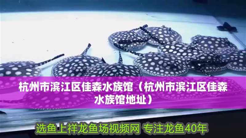 杭州市濱江區佳森水族館（杭州市濱江區佳森水族館地址） 杭州市濱江區佳森水族館（杭州市濱江區佳森水族館地址） 全國水族館企業名錄 第2張