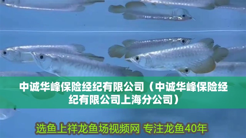 中誠華峰保險經紀有限公司（中誠華峰保險經紀有限公司上海分公司）