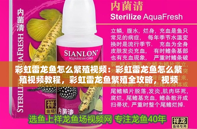 彩虹雷龍魚怎么繁殖視頻:彩虹雷龍魚怎么繁殖視頻教程,彩虹雷龍魚繁殖全攻略,視頻 水族問答 彩虹雷龍魚怎么繁殖視頻:彩虹雷龍魚怎么繁殖視頻教程,彩虹雷龍魚繁殖全攻略,視頻 彩虹雷龍魚怎么繁殖視頻:彩虹雷龍魚怎么繁殖視頻教程,彩虹雷龍魚繁殖全攻略,視頻 水族問答