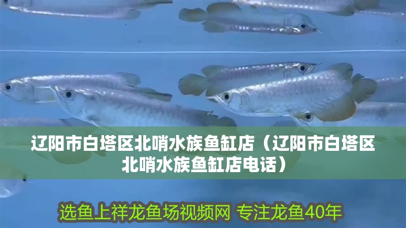 遼陽市白塔區北哨水族魚缸店（遼陽市白塔區北哨水族魚缸店電話） 遼陽市白塔區北哨水族魚缸店（遼陽市白塔區北哨水族魚缸店電話） 全國水族館企業名錄 第2張