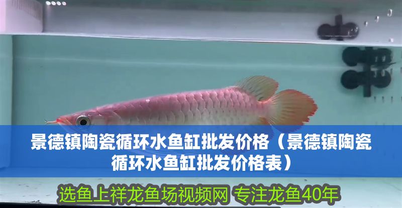 景德鎮陶瓷循環水魚缸批發價格（景德鎮陶瓷循環水魚缸批發價格表） 景德鎮陶瓷循環水魚缸批發價格（景德鎮陶瓷循環水魚缸批發價格表） 錦鯉魚百科 第1張
