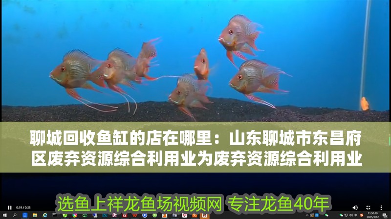 聊城回收魚缸的店在哪里：山東聊城市東昌府區(qū)廢棄資源綜合利用業(yè)為廢棄資源綜合利用業(yè) 聊城回收魚缸的店在哪里：山東聊城市東昌府區(qū)廢棄資源綜合利用業(yè)為廢棄資源綜合利用業(yè) 魚缸百科