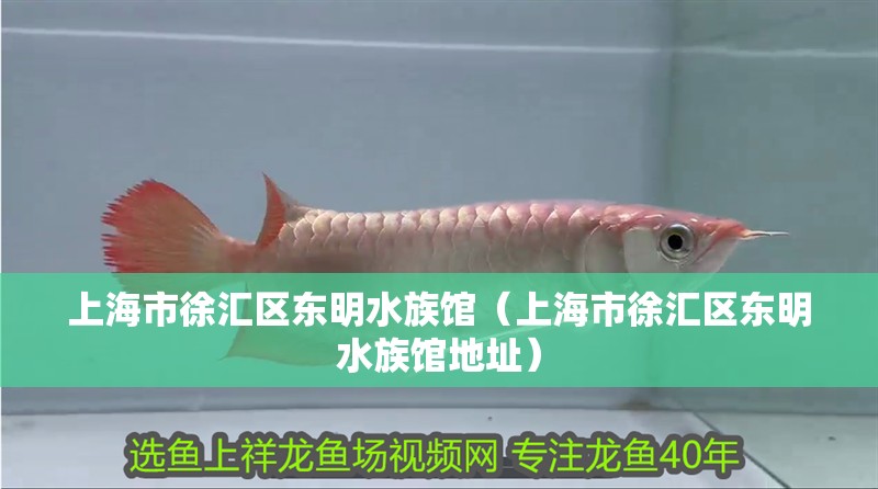 上海市徐匯區東明水族館（上海市徐匯區東明水族館地址）