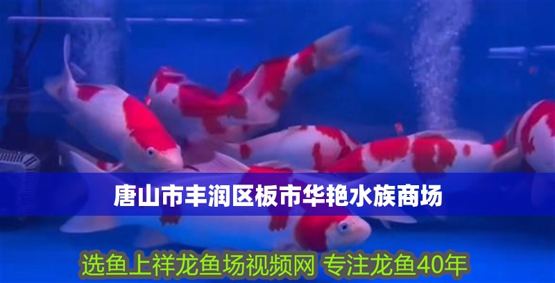 唐山市豐潤區(qū)板市華艷水族商場