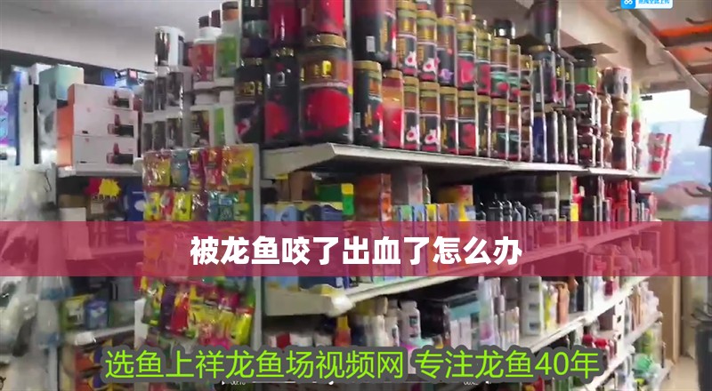 被龍魚咬了出血了怎么辦